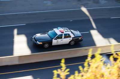 Thumbnail image for Thumbnail image for pfmstock7-168.jpg